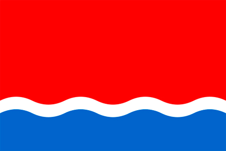 Амурская область - флаг